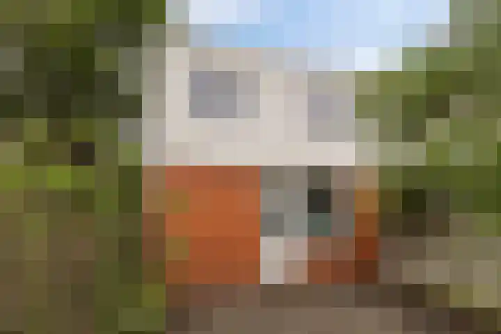Kremersheerd 178 Groningen thumbnail 42