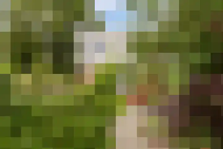 Kremersheerd 178 Groningen thumbnail 9