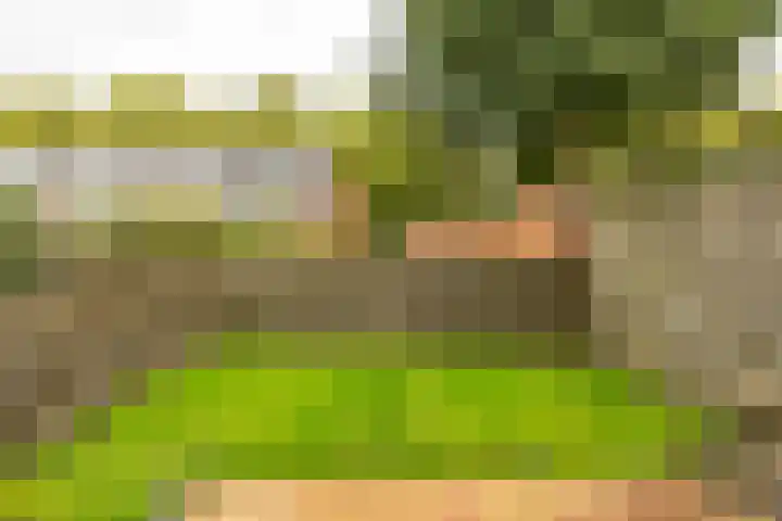 Kremersheerd 49 Groningen thumbnail 16