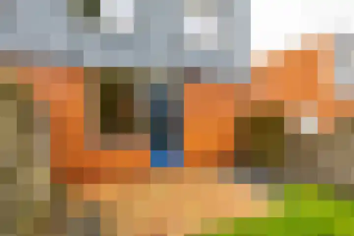 Kremersheerd 49 Groningen thumbnail 17