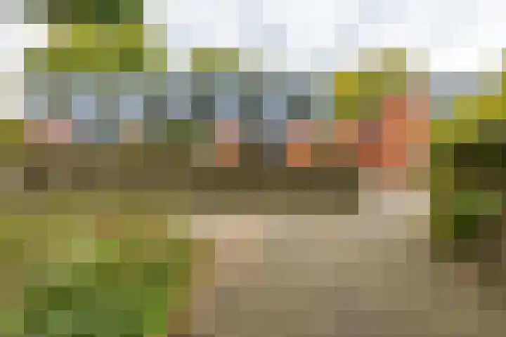 Kremersheerd 49 Groningen thumbnail 30