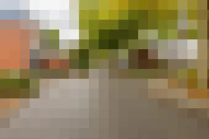 Kremersheerd 49 Groningen thumbnail 33