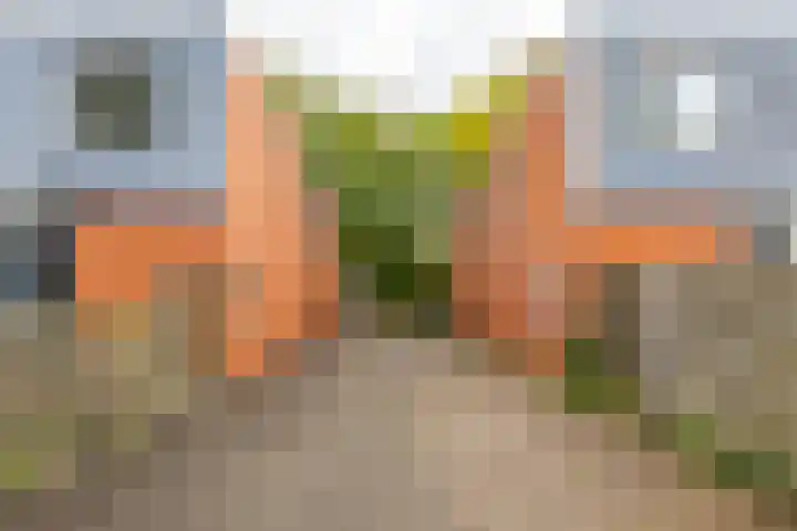 Kremersheerd 49 Groningen thumbnail 5