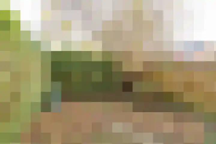 Kremersheerd 75 Groningen thumbnail 18
