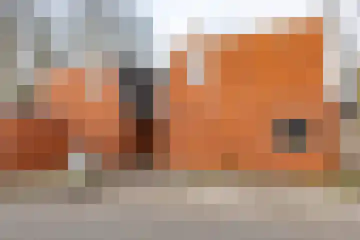 Kremersheerd 75 Groningen thumbnail 29