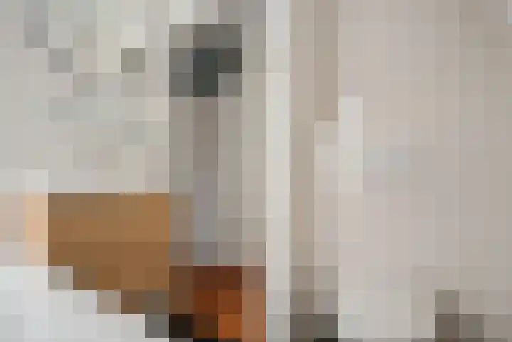 Kremersheerd 79 Groningen thumbnail 27
