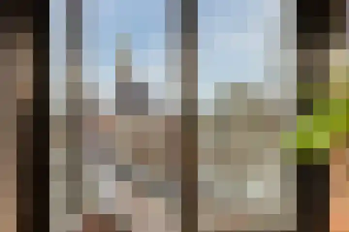 Krententuin 6 Hoorn thumbnail 19