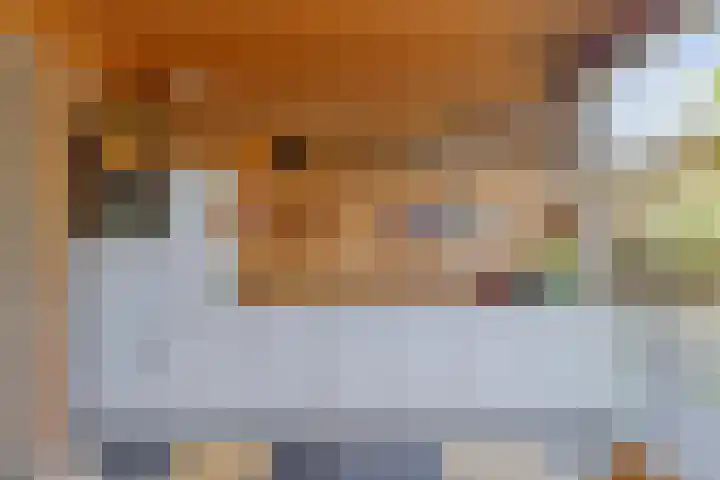 Krententuin 6 Hoorn thumbnail 21