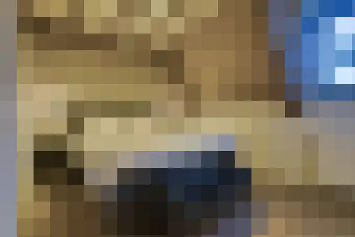 Krententuin 6 Hoorn thumbnail 22