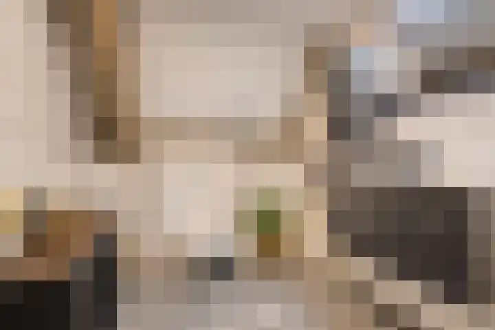 Krententuin 6 Hoorn thumbnail 25