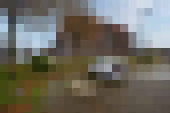 Krententuin 6 Hoorn thumbnail 29