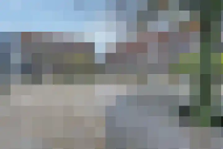 Krententuin 6 Hoorn thumbnail 31