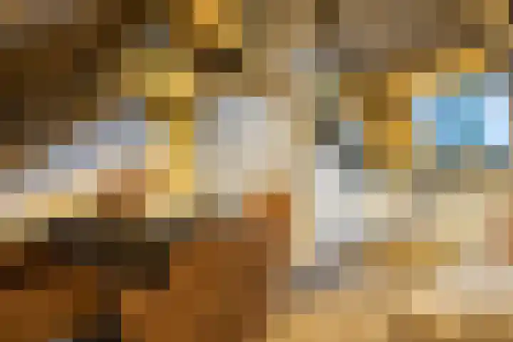 Krententuin 6 Hoorn thumbnail 7