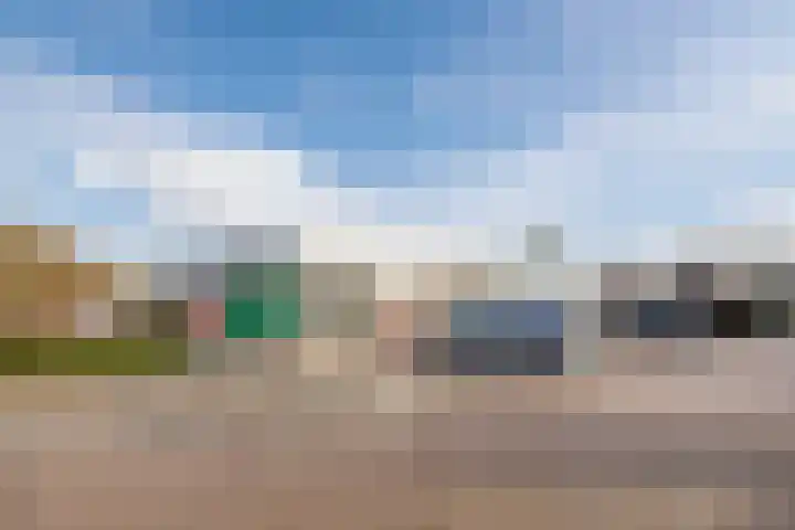 Krententuin 6 Hoorn thumbnail 8