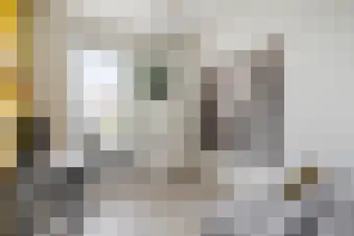 Kretalaan 30 Rotterdam thumbnail 24