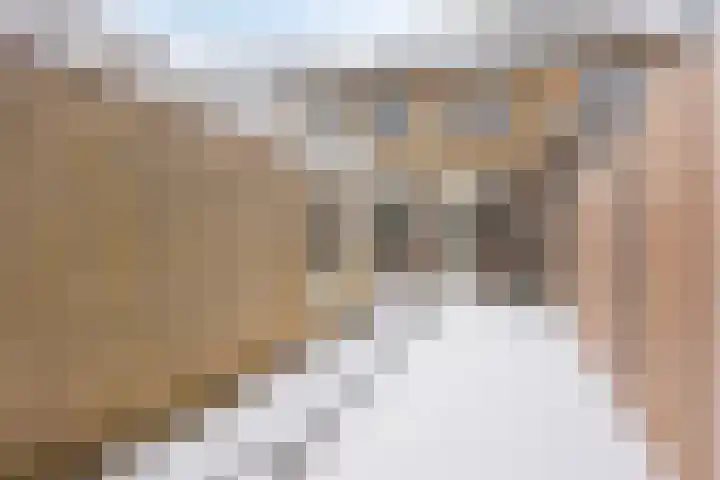 Kriegerstraat 12 Grave thumbnail 16
