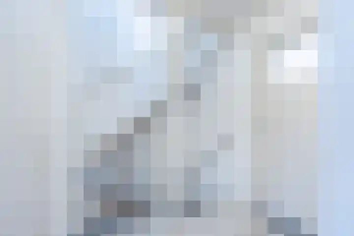 Kriegerstraat 17 Grave thumbnail 10