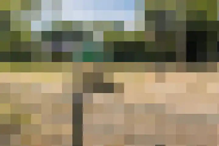Kriegerstraat 17 Grave thumbnail 22