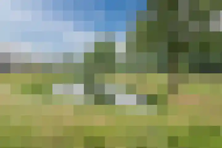 Kriegerstraat 17 Grave thumbnail 25