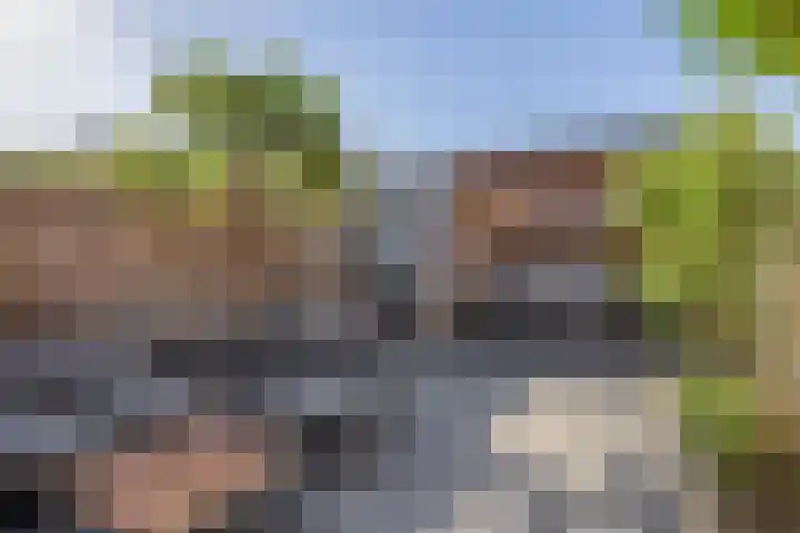 Kriegerstraat 17 Grave thumbnail 8