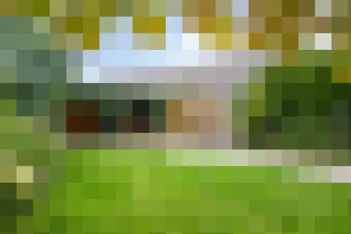 Krijgershoek 32 Beek thumbnail 10