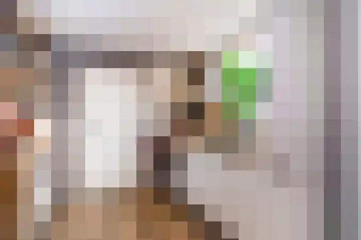 Krijgershoek 32 Beek thumbnail 21