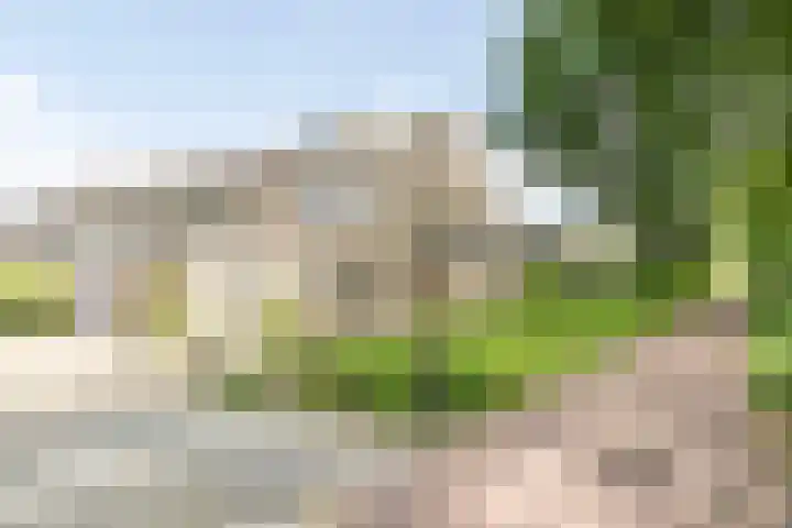 Krijgertje 50 Best