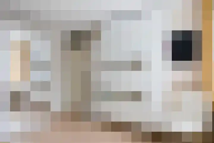 Krijgertje 50 Best thumbnail 22