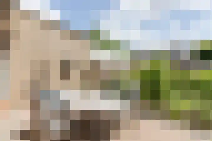 Krijgertje 50 Best thumbnail 35