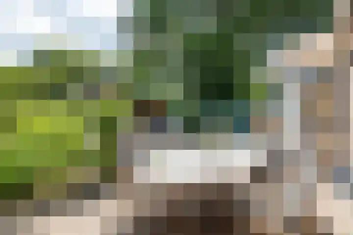 Krijgertje 50 Best thumbnail 36