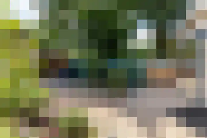 Krijgertje 50 Best thumbnail 37