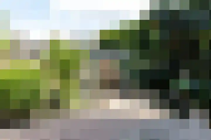 Krijgertje 50 Best thumbnail 38