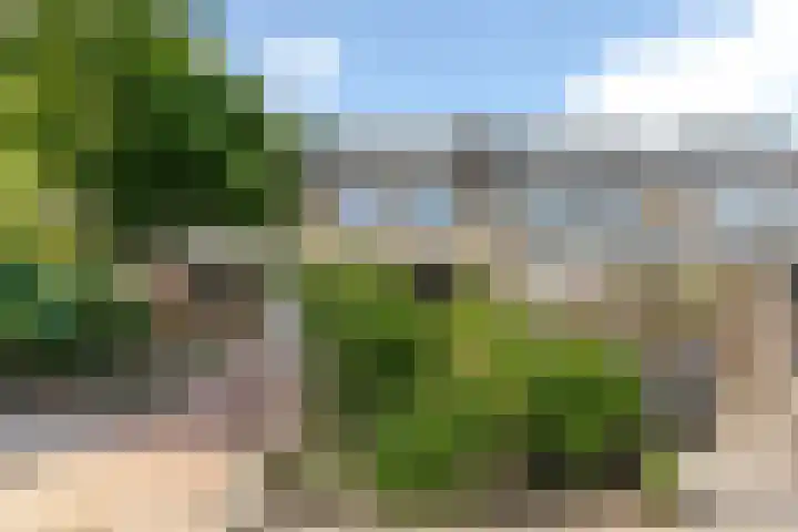 Krijgertje 50 Best thumbnail 42