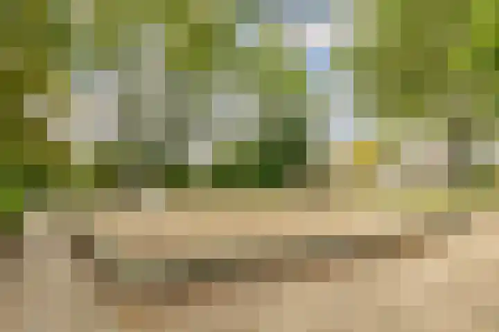 Krijgertje 50 Best thumbnail 46