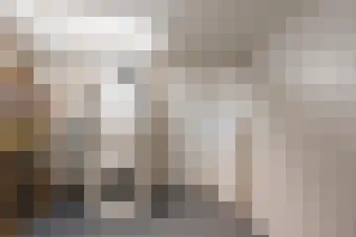 Krijgertje 50 Best thumbnail 8