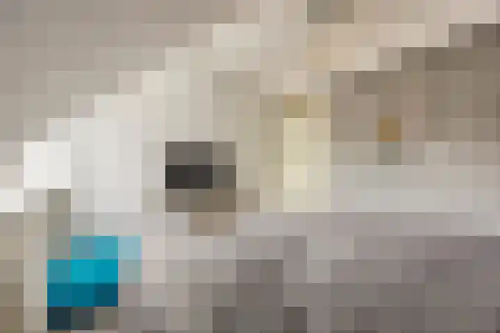 Krijten 87 Uden thumbnail 22