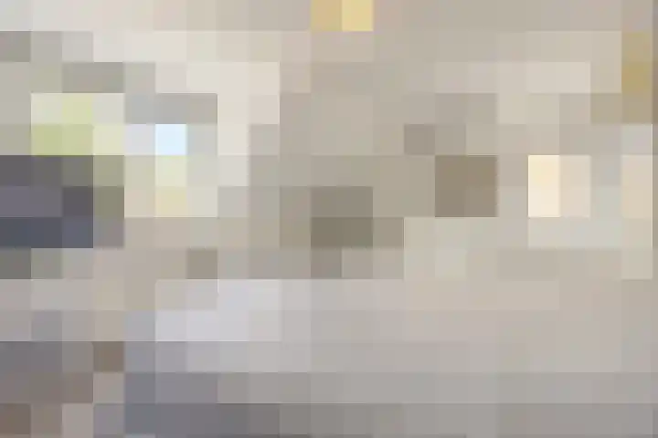 Krijten 87 Uden thumbnail 26