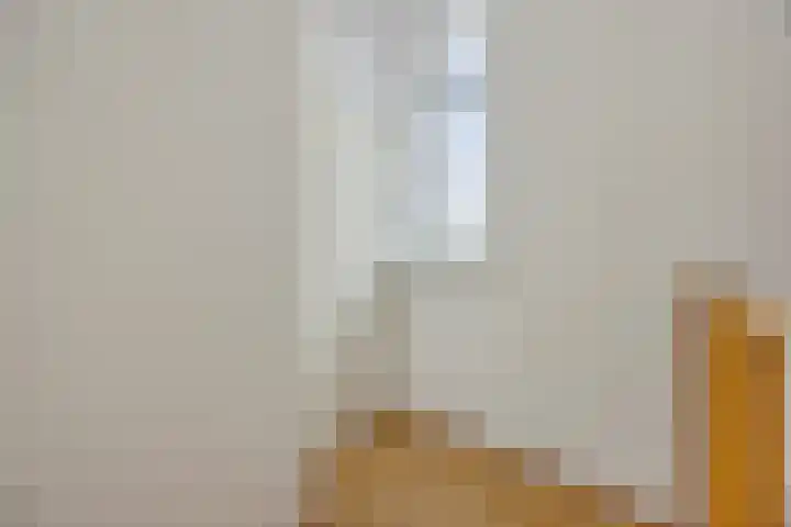 Krijten 87 Uden thumbnail 30