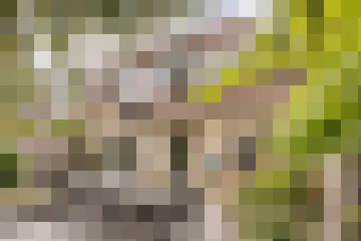 Krijten 87 Uden thumbnail 42