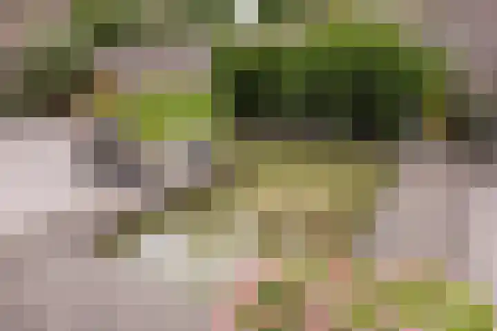 Krijten 87 Uden thumbnail 44