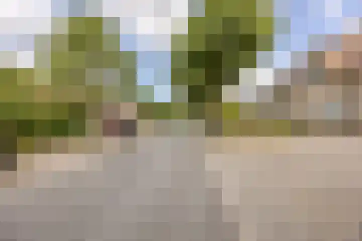 Krijten 87 Uden thumbnail 46