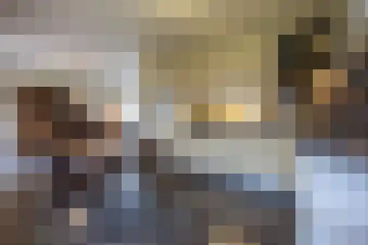 Krijtestraat 2 A Moergestel thumbnail 10