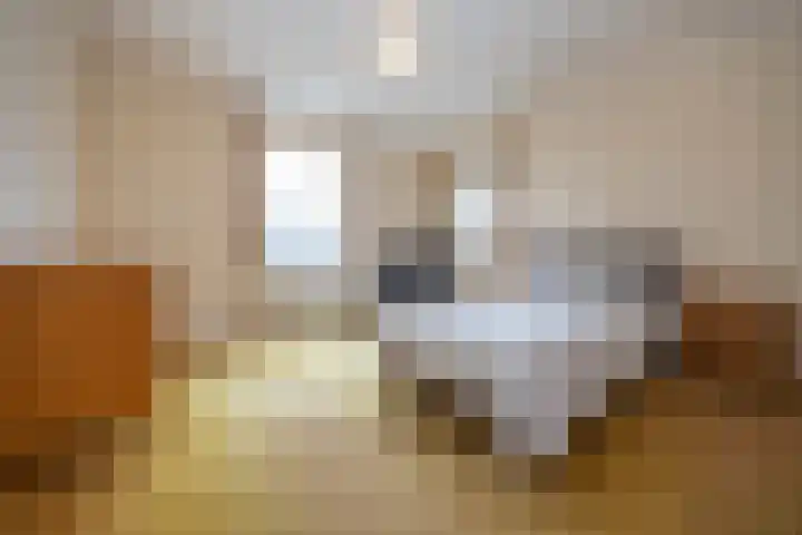 Krijtestraat 2 A Moergestel thumbnail 12
