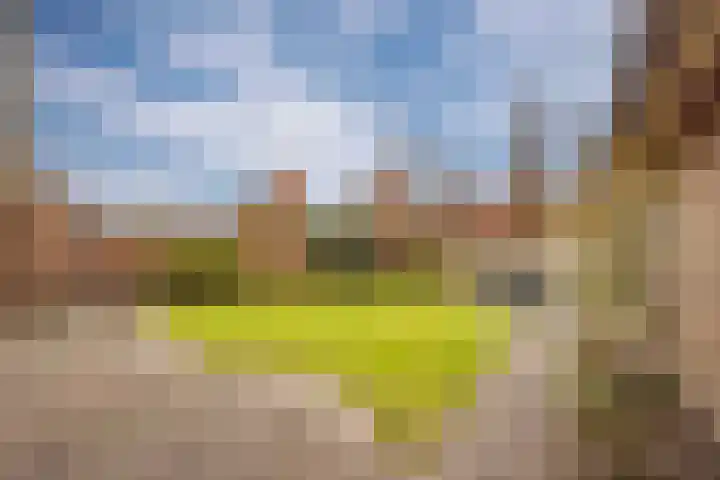 Krijtestraat 2 A Moergestel thumbnail 35