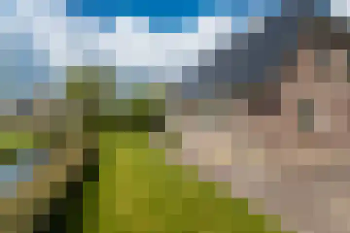 Krijtestraat 2 A Moergestel thumbnail 40