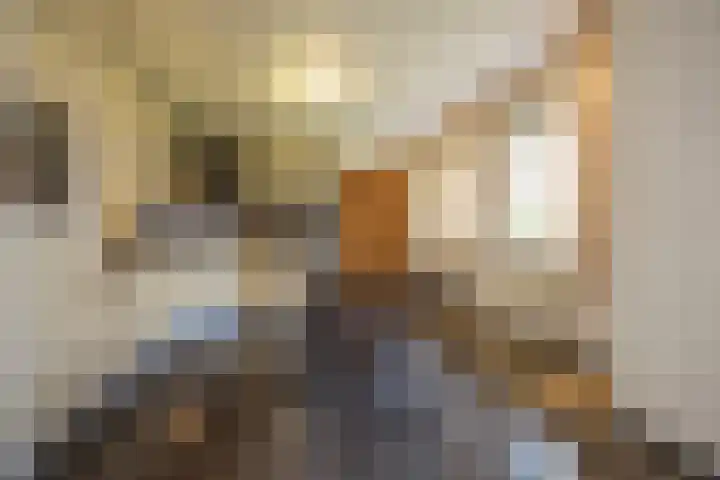 Krijtestraat 2 A Moergestel thumbnail 9