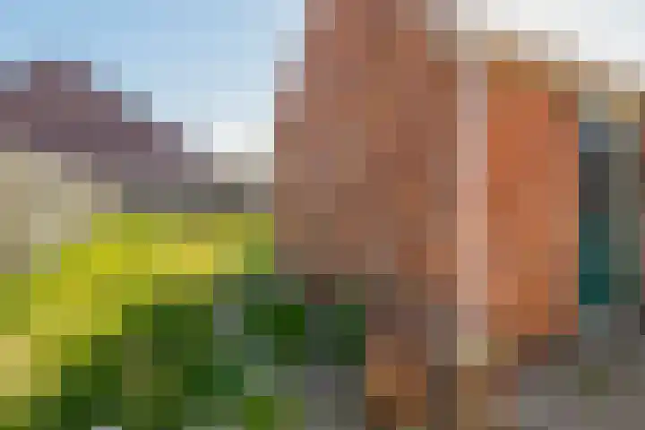 Krimpenwei 16 Blije thumbnail 14