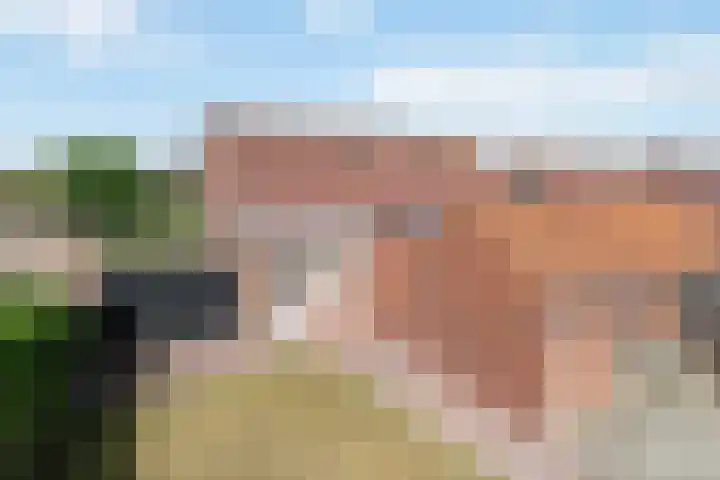 Krimpenwei 2 Blije foto 2