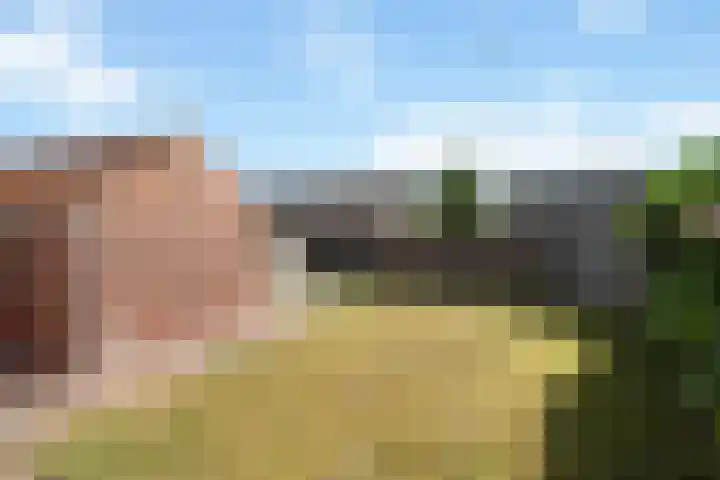 Krimpenwei 2 Blije thumbnail 22