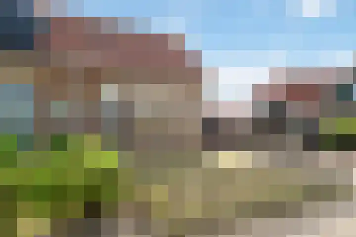 Krimpenwei 2 Blije thumbnail 6